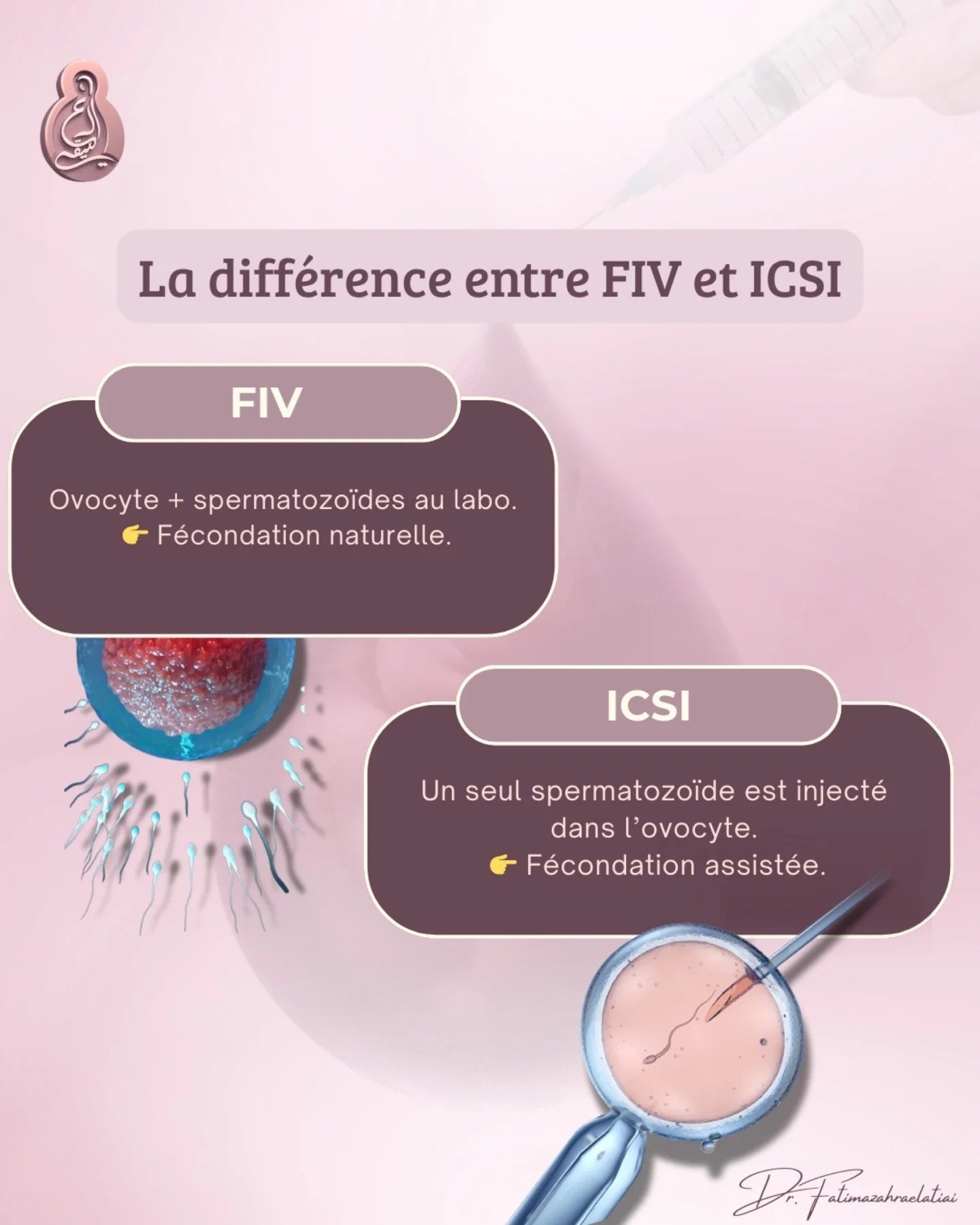 Conseil santé : la différence entre FIV et ICSI
